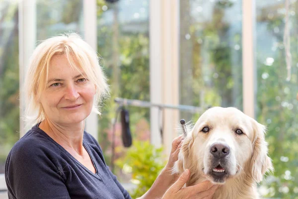Glimlachende Professionele Groomer Met Golden Retriever Dog Kijkend Naar Camera — Stockfoto