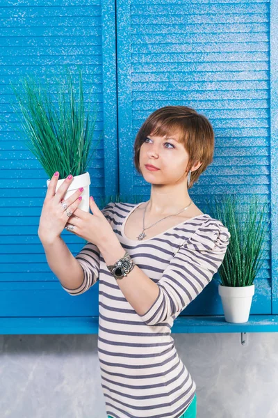 Genç ve güzel kısa saçlı beyaz kız Pott tutarak? d bitki yakınındaki mavi pencere. Atış, stüdyo kavramı, kopya alanı Bahçe.