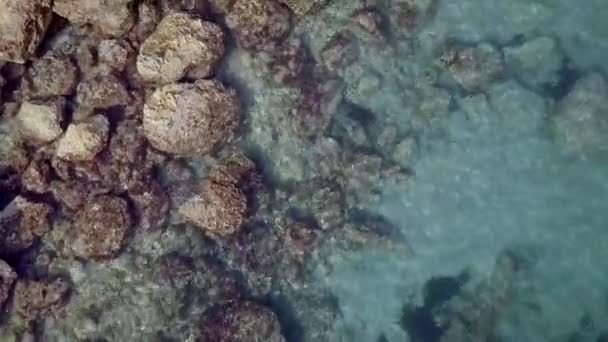 Vista aérea hermosa. Las olas se están lavando en piedras y guijarros en la orilla. Calpe España — Vídeo de stock