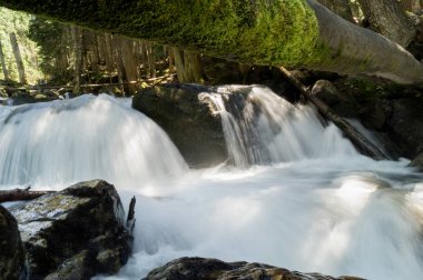 Dağ nehir, Dombai, yaz.
