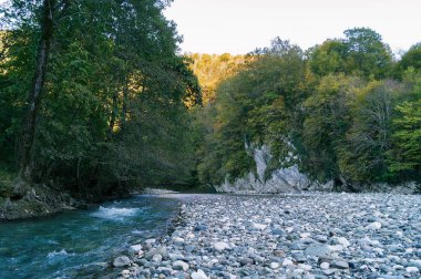 Bir nehir dağlar, kayalık sahil, bir uçurumun dönemeçte bir nehir, bir orman, bir sonbahar, dağlar.