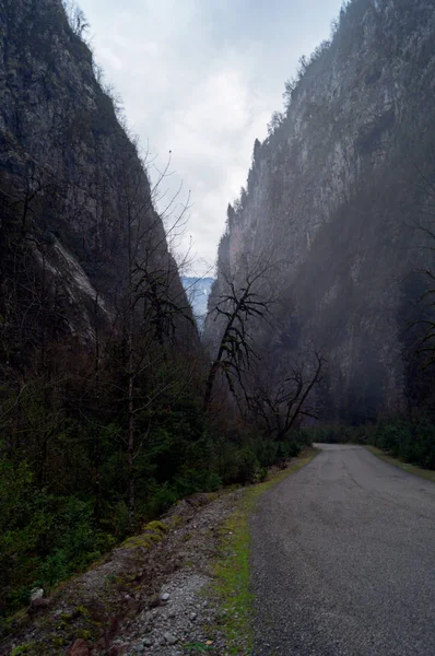 Garganta Nas Montanhas Estrada Asfalto Penhascos Íngremes Abcásia — Fotografia de Stock