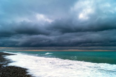 Fotoğraf bir palmiye ağacının havada Bengal ışıklar gece boyalı.