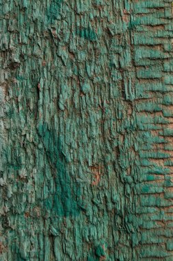 Doku yeşil boya izleri ile kabaca işlenmiş bir Yönetim Kurulu eski bir yüzeyinden.