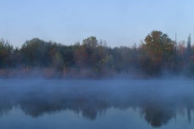 Sabaha sis göl yüzeyi bitkiler diğer kıyıdan yansıması ile.