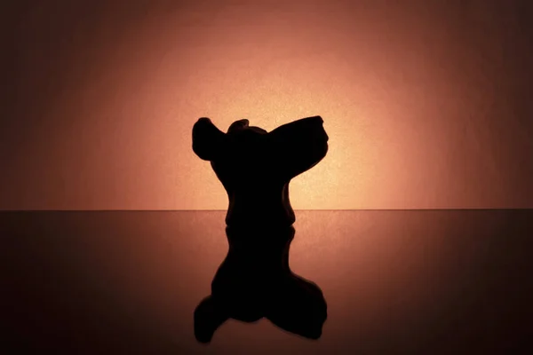Силуэт Головы Собаки Отлитой Пластилина Подсветке Отражением — стоковое фото