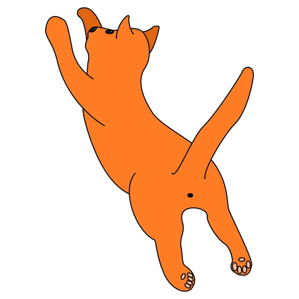 Gato Jengibre Salta Imagen Vectorial Gato Jugando Gato Mascotas Patas — Archivo Imágenes Vectoriales