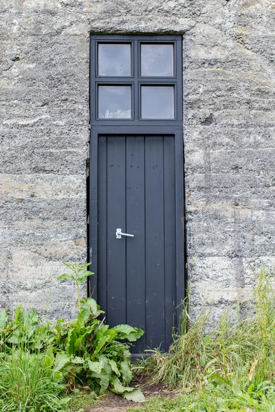Vieja puerta envejecida — Foto de Stock