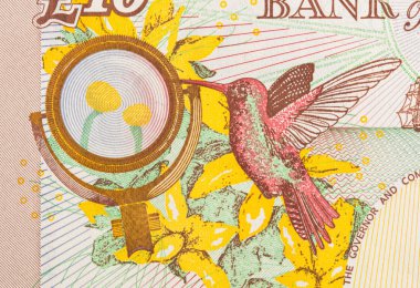 Para birimi arka plan - 10 sterlin pound