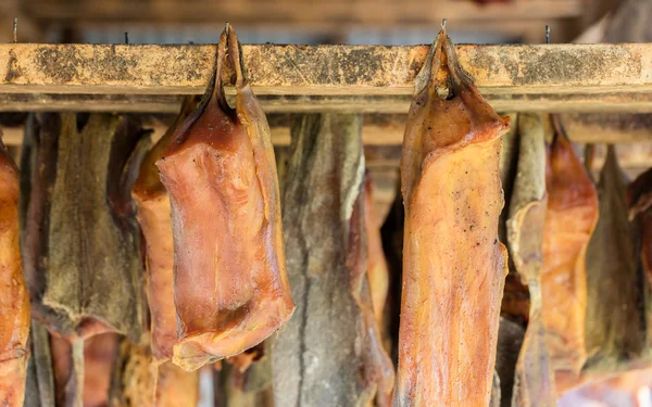 冰岛的发酵的鲨鱼 — 图库照片