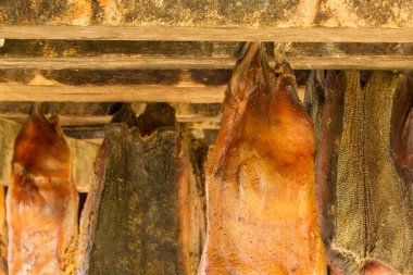 İzlanda'nın fermente köpekbalığı