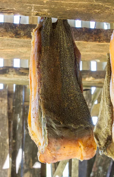 Iceland's fermented shark — Stock Photo, Image