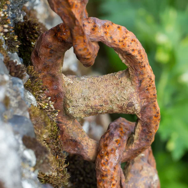 Cadeia velha com ferrugem, cerca de elo de corrente de aço — Fotografia de Stock