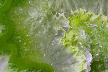 Renkli bir taş yakın çekim