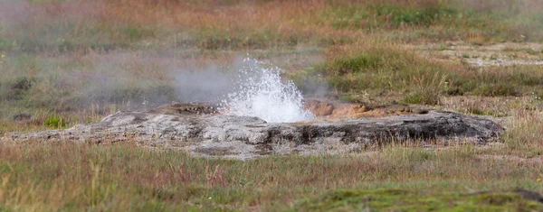 Valle geotermica attiva di Haukadalur — Foto Stock