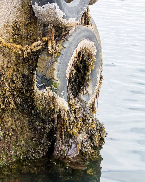 Neumático viejo reciclado utilizado como parachoques — Foto de Stock