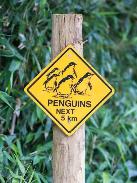 Señal de tráfico precaución para aves pinguinos —  Fotos de Stock