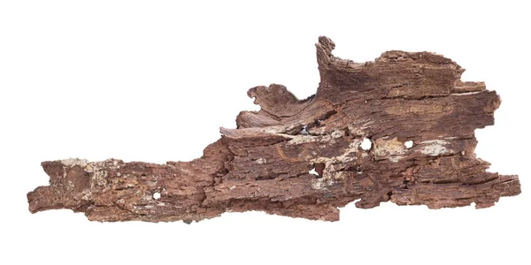 Corteza de árbol aislada —  Fotos de Stock