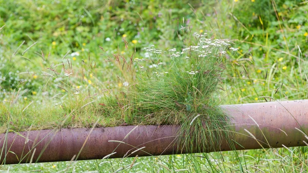 Oude water pipe — Stockfoto