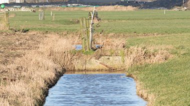 Hendek ve çayırlar waterland Friesland, seçici odak içinde 