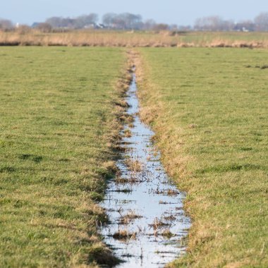 Hendek ve çayırlar waterland Friesland, seçici odak içinde 