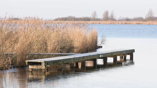 Деревянная пристань у озера в холодный зимний день — стоковое фото