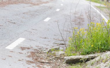 Hollanda terk edilmiş yol