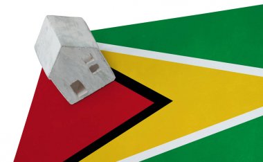 Bir bayrak - Guyana üzerinde küçük ev