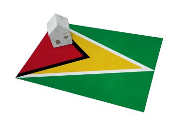 Bir bayrak - Guyana üzerinde küçük ev
