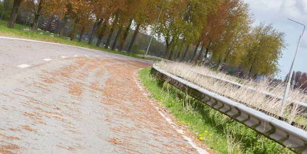 Abandoned road in the Netherlands — Stock Photo, Image