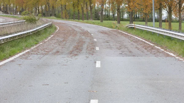 オランダの放棄された道路 — ストック写真