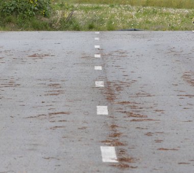 Hollanda terk edilmiş yol