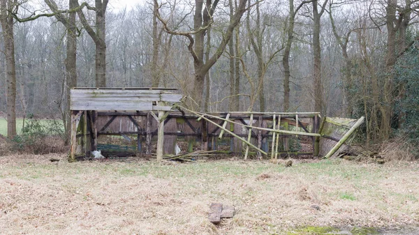 Samengevouwen, oude hut in het bos — Stockfoto