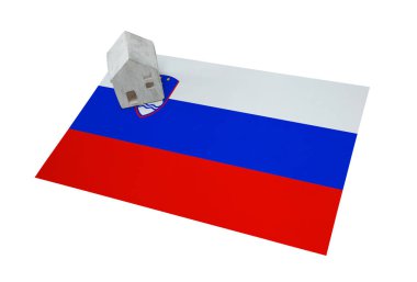 Bir bayrak - Slovenya üzerinde küçük ev