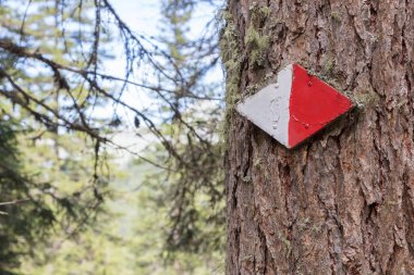 Avusturya'da yürüyen yol işareti