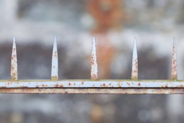 Çivili çit, paslı eski sivri