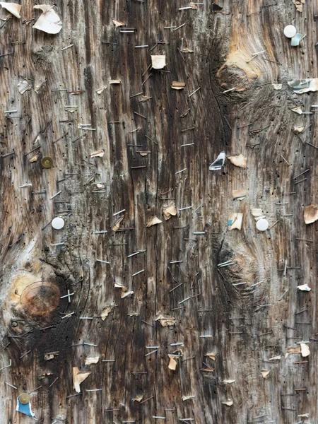 Wooden panel full of pushpins and staples — Stock Photo, Image