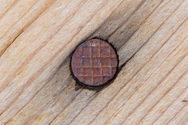 Close up on wood and nail, rusty nail on wood — Stock Photo, Image