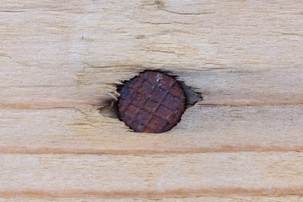 Close-up op hout- en nagel-, roestige spijker op hout — Stockfoto