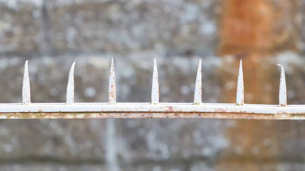 Stachelzaun, rostige alte Stacheln — Stockfoto