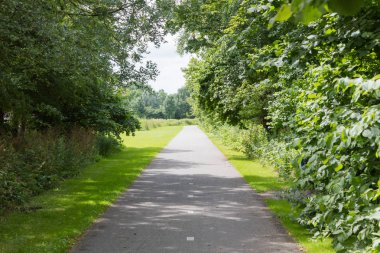 Bisikletçiler için özel şerit