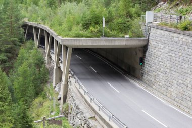 Güney Avusturya dağ yolu