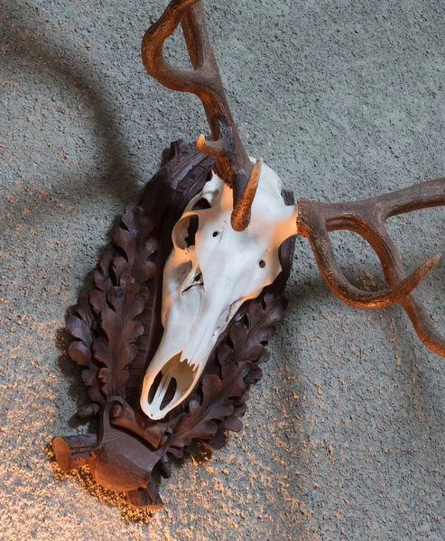 Büyük geyik avcılık kupa