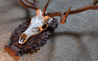 Büyük geyik avcılık kupa