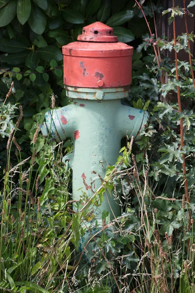 Zelená požární hydrant na chodníku město — Stock fotografie