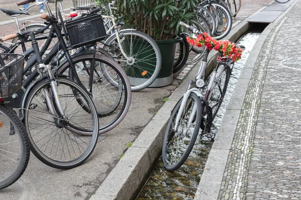 Małe wody kanałów na ulicach we Fryburgu — Zdjęcie stockowe