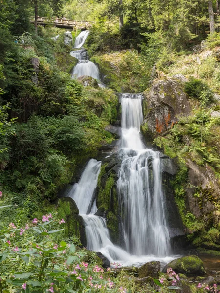 Triberg, Německo - 17 srpna 2017: Triberg Falls, jeden z Ahoj — Stock fotografie