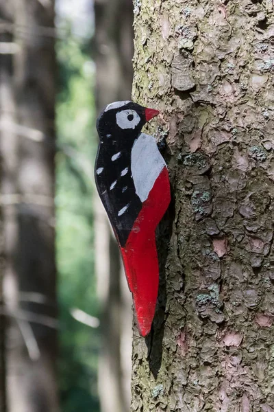 Education in the forest - wooden woodpecker waiting to be spotte — Stock Photo, Image