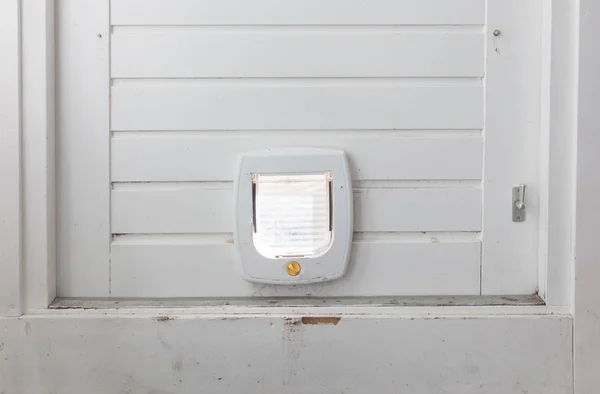 Inside view of a regular white cat flap, flap closed — Stock Photo, Image