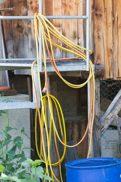 Bir duvarda asılı bahçe hortumu